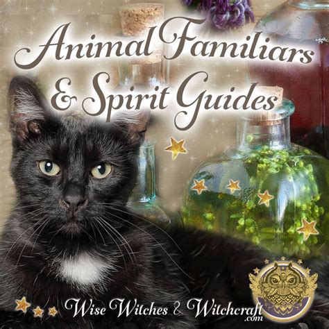 Traditional Witchcraft: Books on Tarot, Runes, and Divination Tools